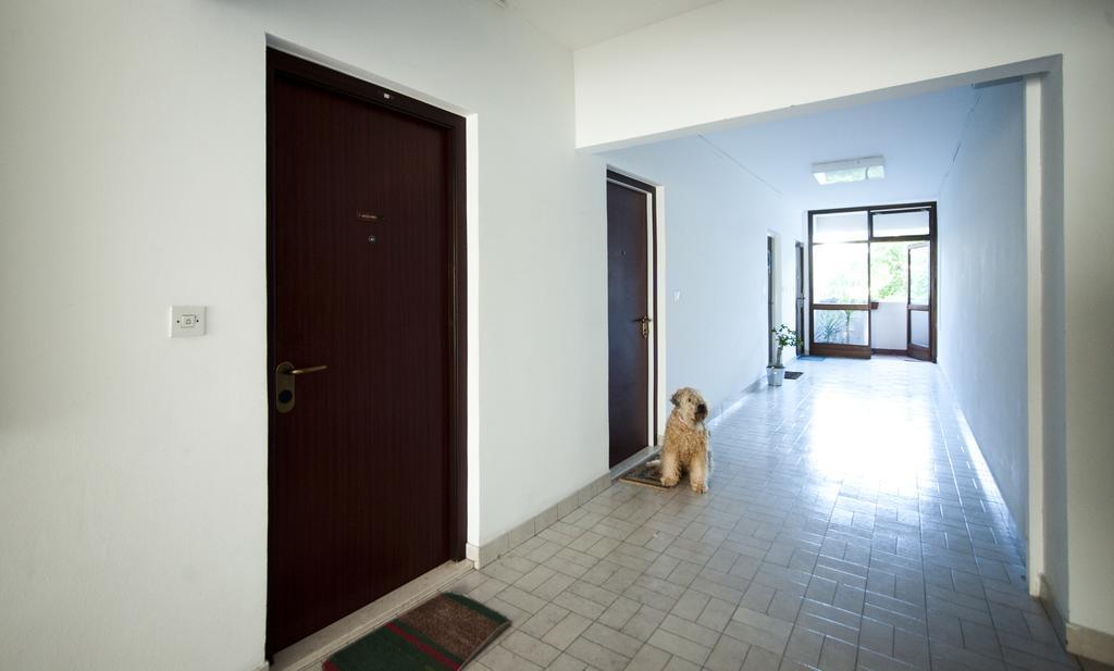 Apartment Asa Split